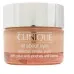Clinique all About Eyes Reduces Puffs Circles Eye Cream 15ml