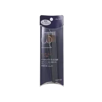 Shiseido Professional Perfect Foundation 131 Brush 